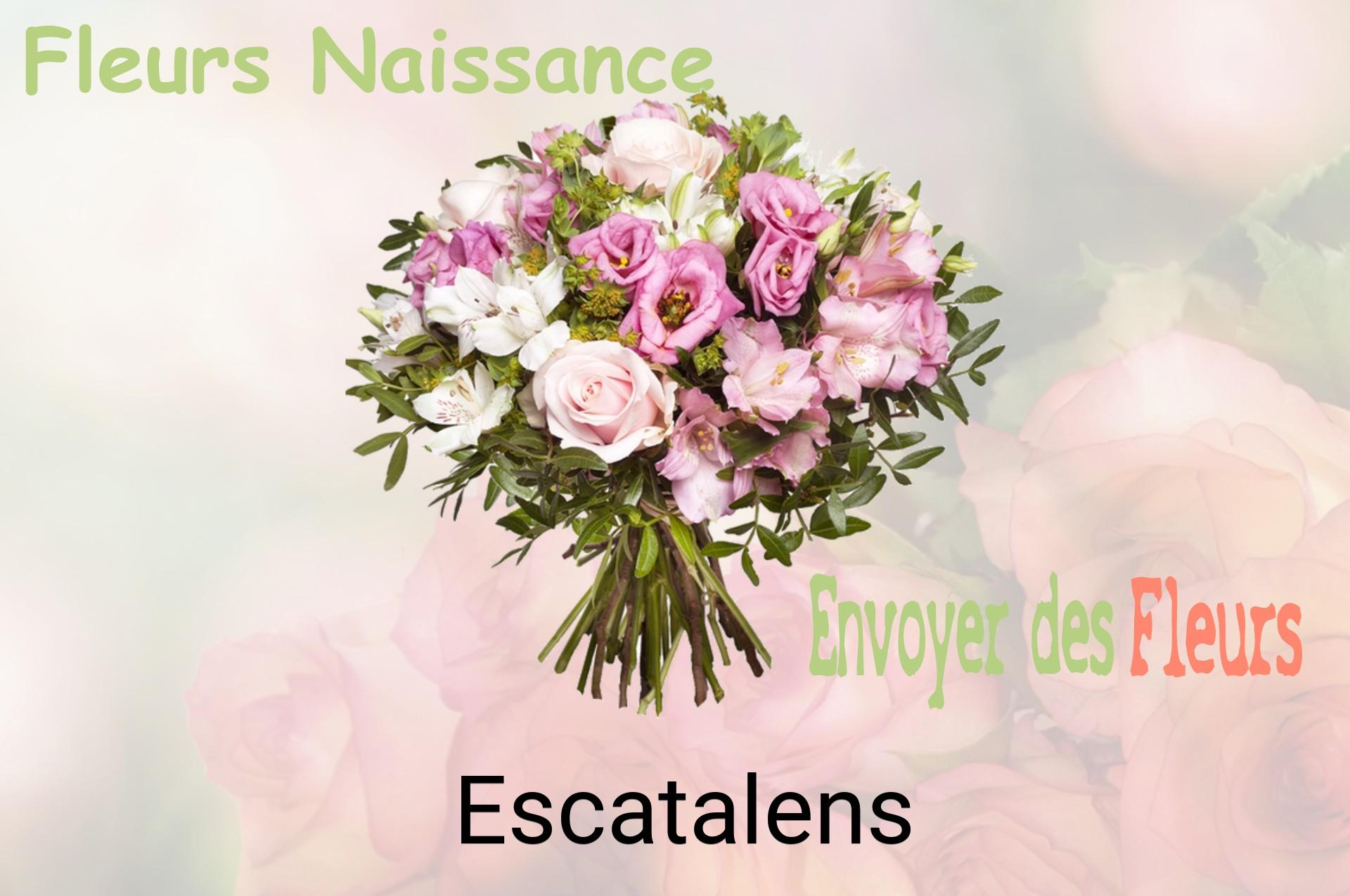 Bouquet de fleurs de naissance livré à Escatalens